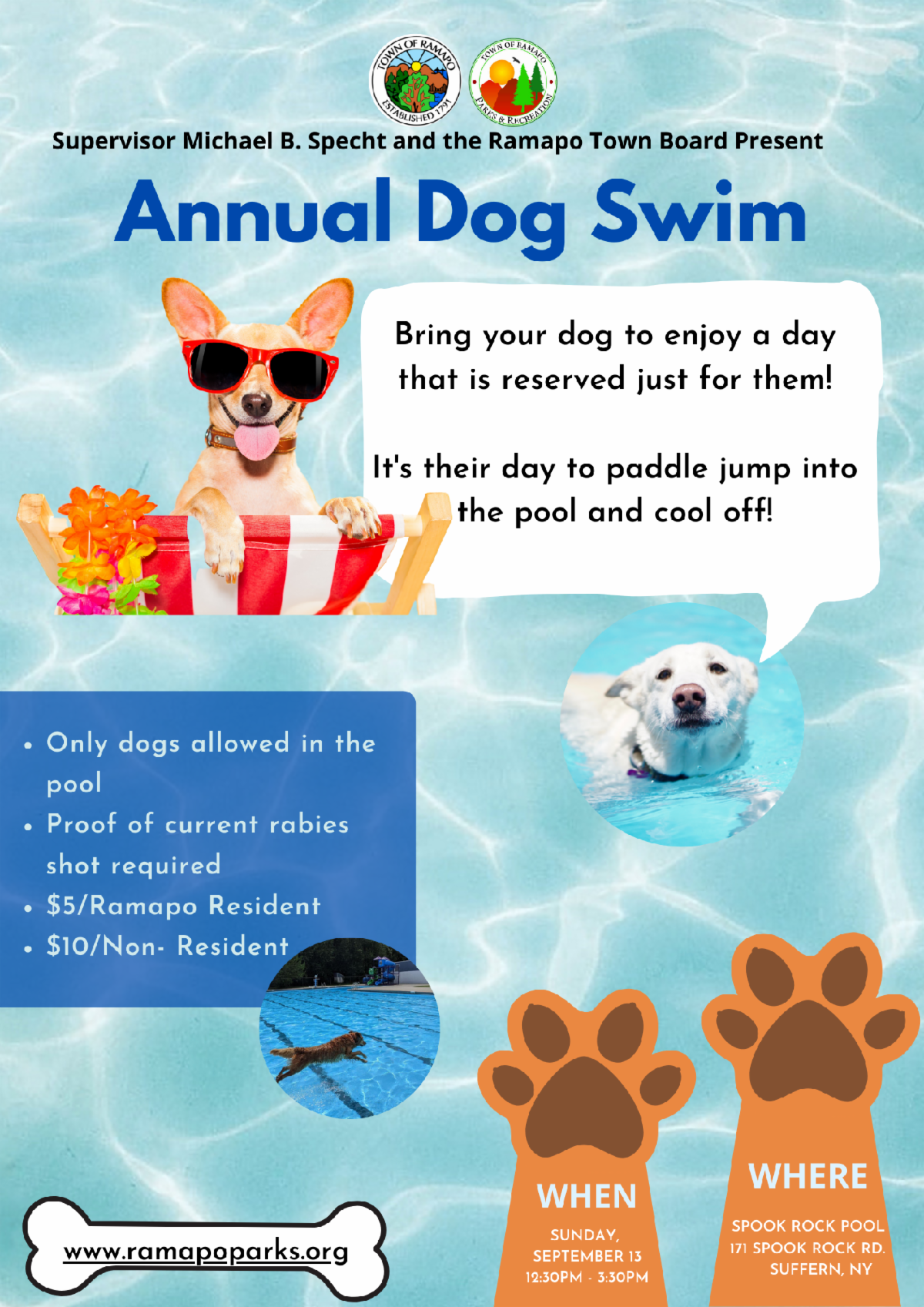 Annual Dog Swim in Ramapo