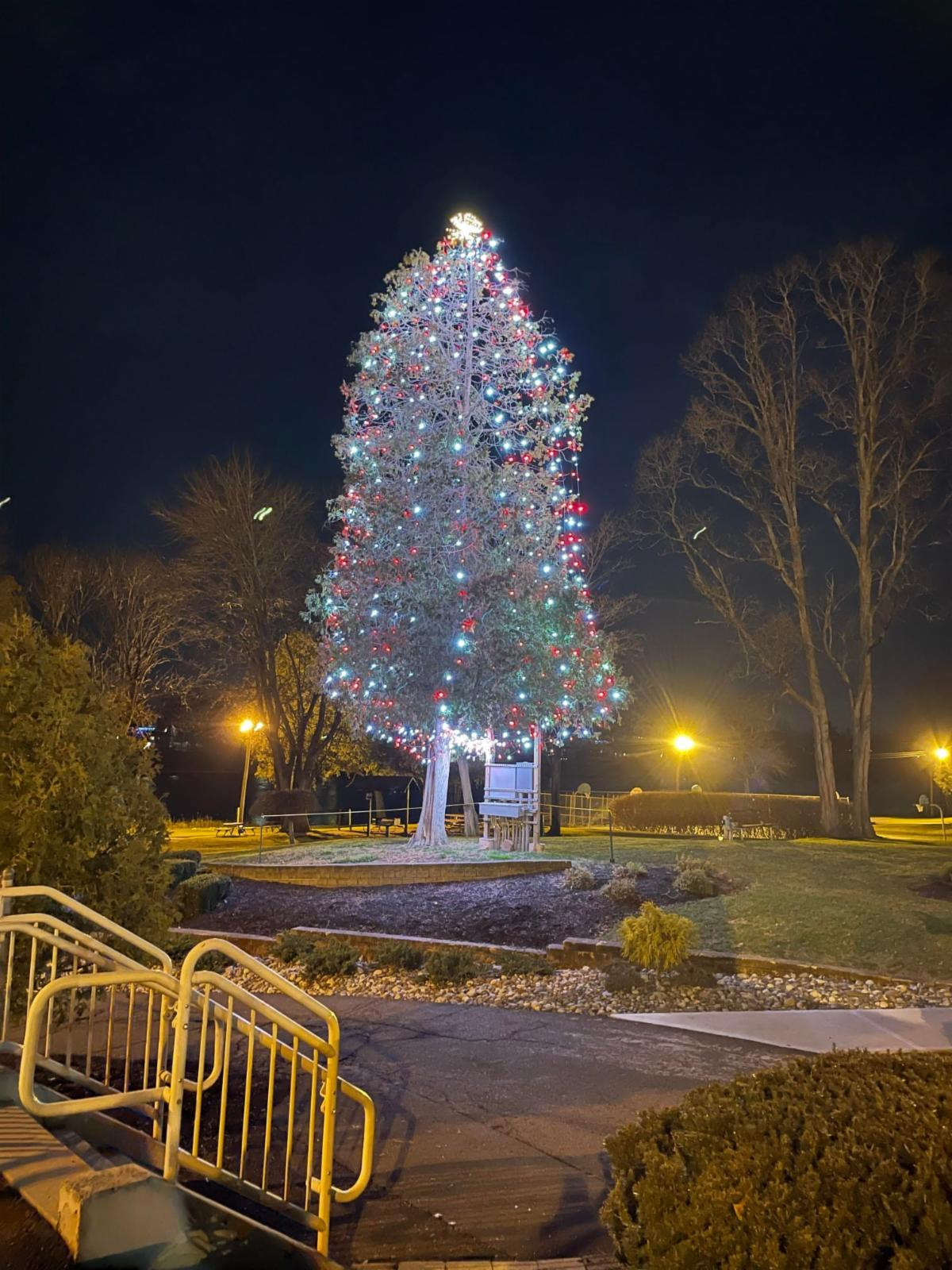 Clarkstown lights Congers Lake Christmas tree Rockland News It's