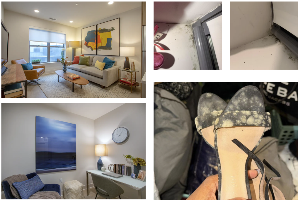 [PART 2] More Admirals Cove Residents Detail Poor Living Conditions at Luxury Condo Complex