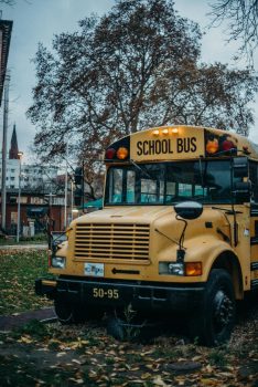A classic yellow school bus parked in a city park during fall, with autumn leaves.