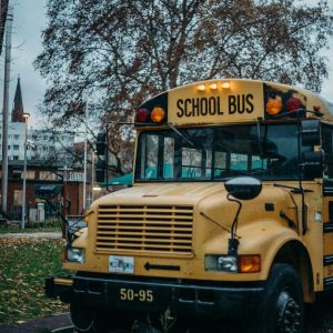 A classic yellow school bus parked in a city park during fall, with autumn leaves.