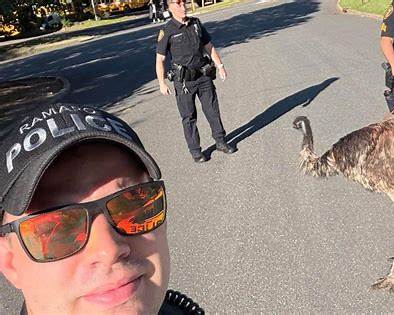 Runaway Emu Safely Recovered in Ramapo