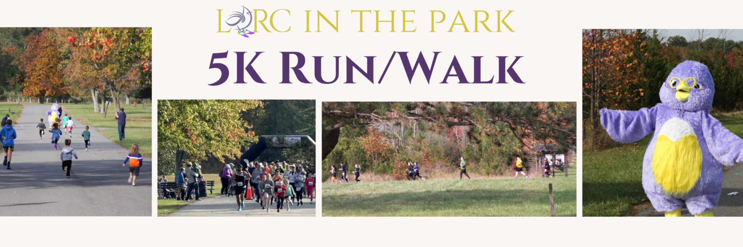 Libraries Set 5K at Rockland Lake