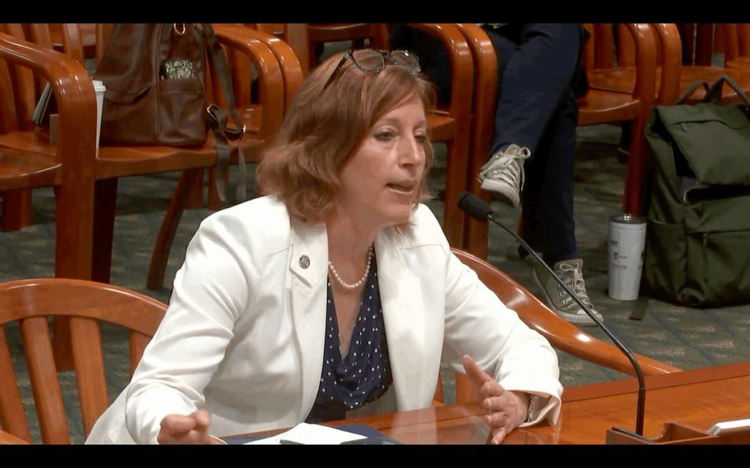 Rockland Approves Home Security Aid for Abuse Survivors