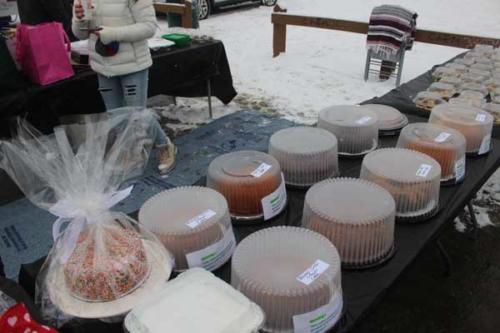 Stony Point Seals Polar Plunge 67