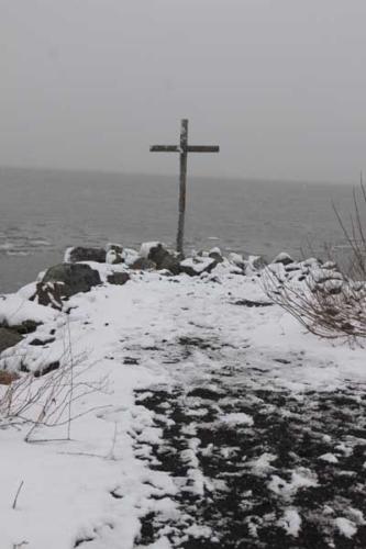 Stony Point Seals Polar Plunge 38