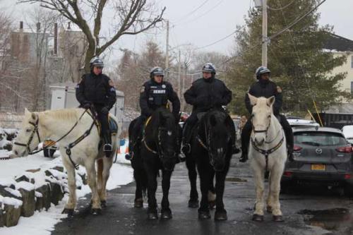 Stony Point Seals Polar Plunge 15