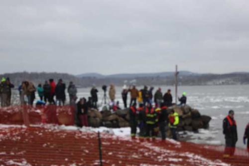 Stony Point Seals Polar Plunge 9