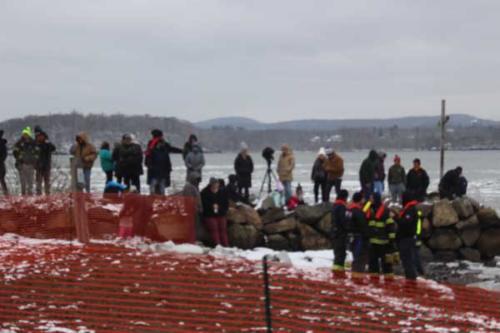 Stony Point Seals Polar Plunge 10