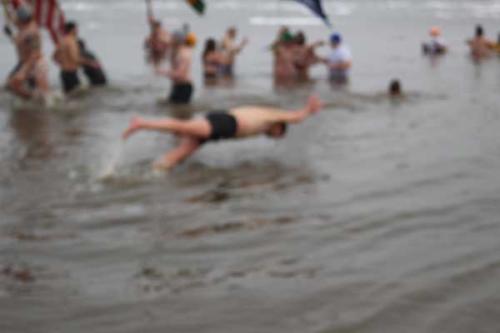 Stony Point Seals Super Plunge 03